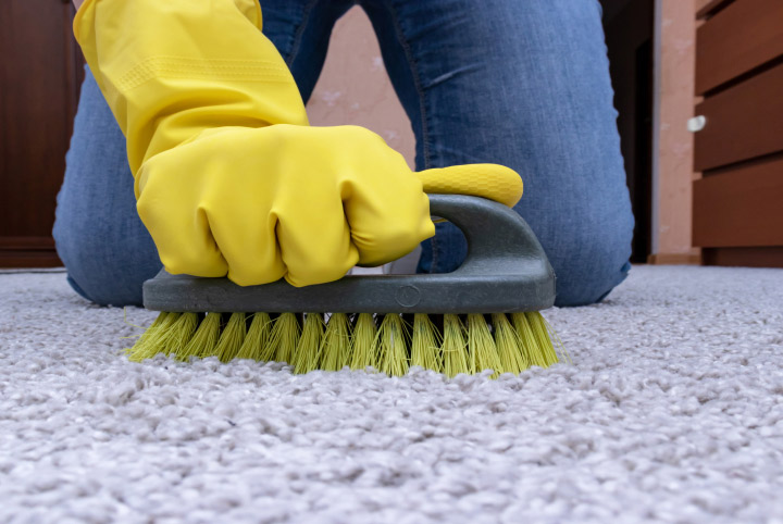 guia-essencial-para-lavar-carpetes-a-seco-como-conseguir-resultados-profissionais-em-casa-rainbow-escovar-carpete.jpg
